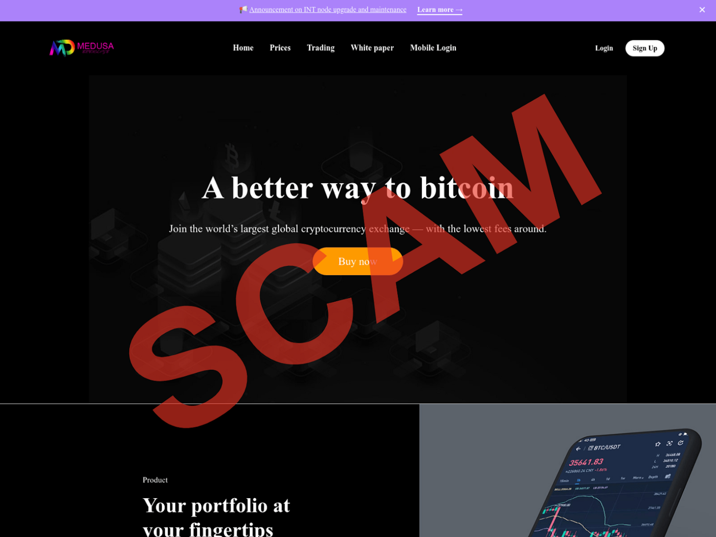 Investment scam landing page example